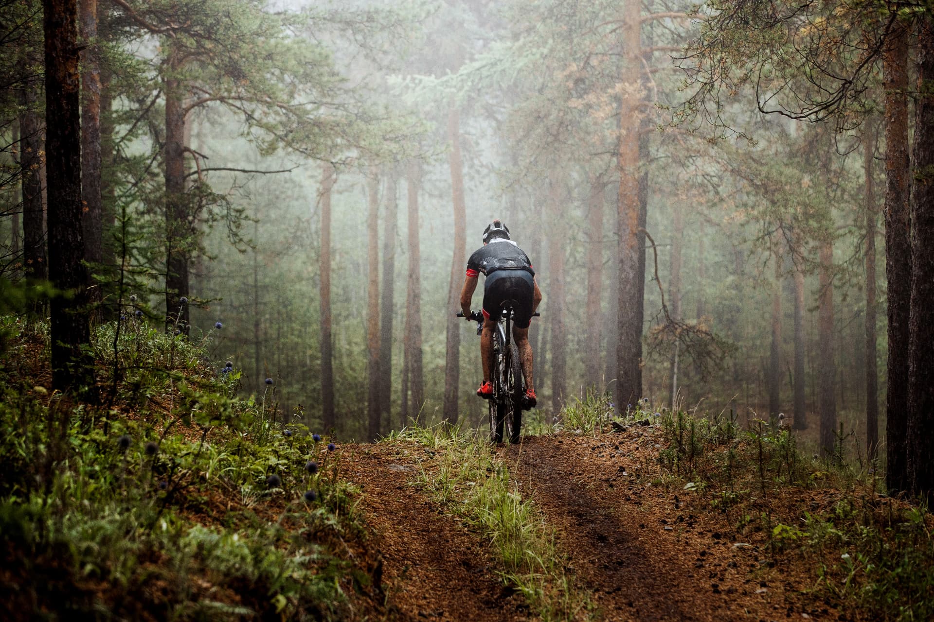 Mountain biking in Langford