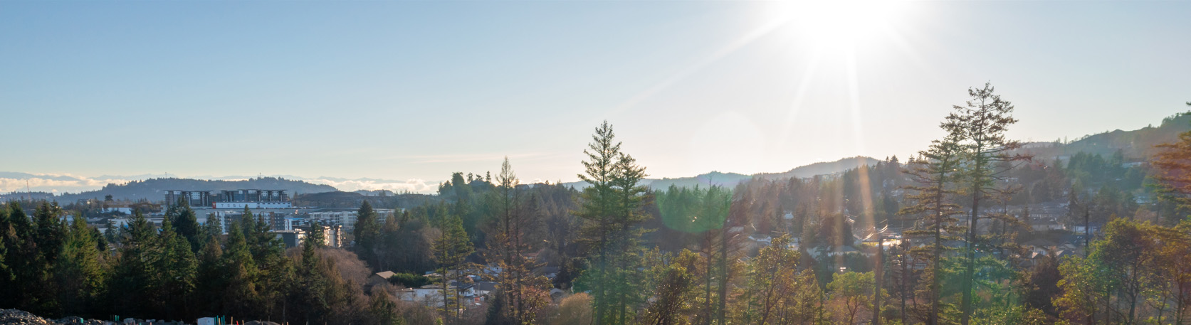 Bear Mountain and Langford from Madrona Ridge